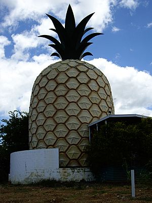 Big Pineapple, Gympie, Queensland