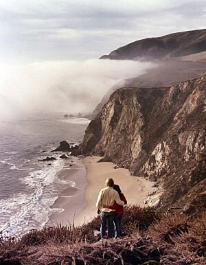 Big Sur, Central Coast California (9390860723)