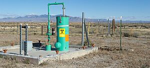 Bioremediation at INL