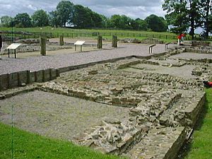Birdoswald Roman Fort - geograph.org.uk - 17585