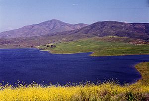 Bonita-reservoir