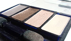 Brown eye shadow palette