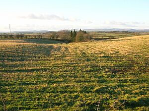 Buiston Loch & old Garrier Burn outflow