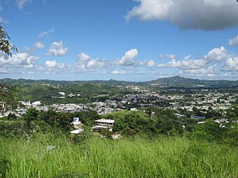 CAYEY ESTE - panoramio