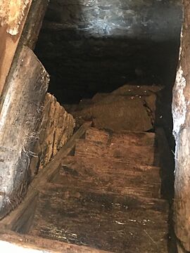 Caleb Pusey House Stairs To Cellar