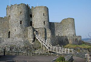 Castell Harlech - geograph.org.uk - 1215326