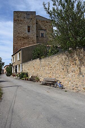 Castle of Saint-Ferriol002
