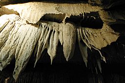 Cave drapery, Boyden Cave, Calif.jpg