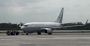 Colombia Air Force Boeing B737-74V(BBJ) FAC 0001 (4391486421)