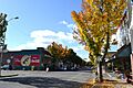 Cottage Grove Historic District