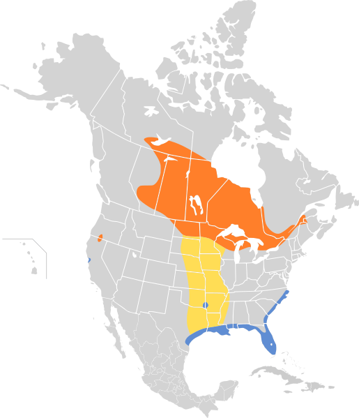 Coturnicops noveboracensis map