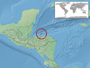 Ctenosaura oedirhina distribution.png