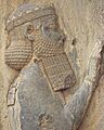Darius I (The Great)
