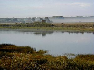 Daugava pie Līvāniem. 1999-08-18