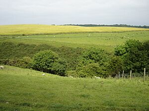 Edge Dell - geograph.org.uk - 1425948