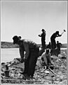 El Cerrito, San Miguel County, New Mexico. The WPA road gangs employ men from all the villages. In . . . - NARA - 521236