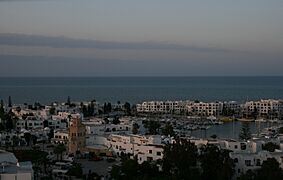 El Kantaaoui marina from the tower - panoramio