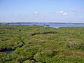 EsteroBayPreserveStatePark