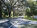 Floral City Hist Dist Street01