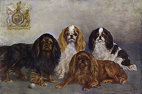 Four King Charles Spaniels and a pearl by Frances C. Fairman