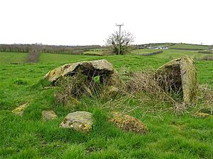 Grainne's Grave, Radergan, Sixmilecross - geograph.org.uk - 1232092