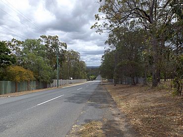 Grassdale Road Gumdale.jpg