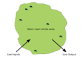 Grazing, continuous