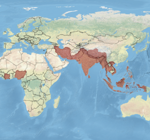 Indoplanorbis exustus map