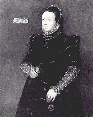 Jane Fitzalan, Lady Lumley