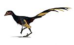 Jinfengopteryx wiki