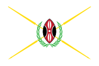 Kenya presidential standard MWAI KIBAKI