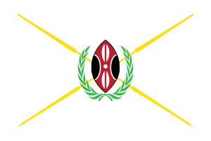 Kenya presidential standard MWAI KIBAKI