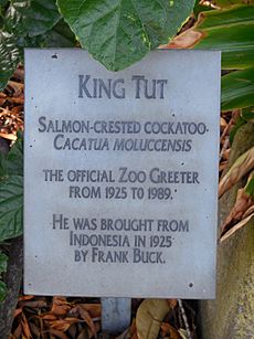King Tut cockatoo plaque at San Diego Zoo