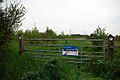 Linford Wood - geograph.org.uk - 1251586