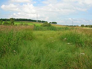 Lochend Loch habitats