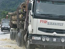 Logging trucks in Sarawak