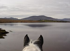 Lough Yganavan - geograph.org.uk - 652123