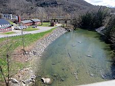 Lower end of Saxtons River 5-6-2014 9-38-59 AM