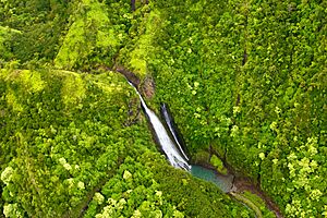 Manawaiopuna ("Jurassic") Falls