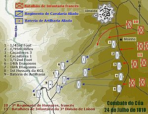 Mapa do Combate do Côa.jpg