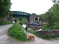 Marple Canal 0342