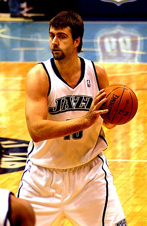 Mehmet Okur Facts for Kids