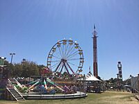 Midway at the Yolo County Fair.jpg