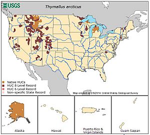 NativeandIntroducedRangeThymallusarcticus-USGS