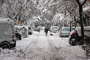 Nevicata eccezionale (4433552880)