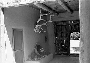 O'Keeffe Home3