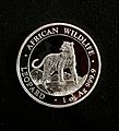 Obverse 2022 Somalia 1 oz Silver coin Leopard