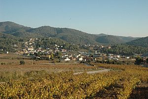 Olesa de Bonesvalls Alt Penedès.jpg