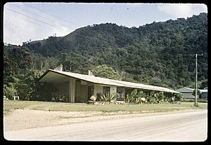Oribin House, 1963