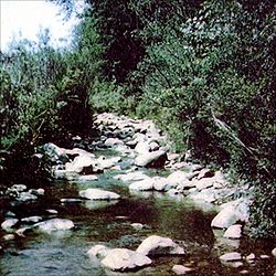 Oriskany creek